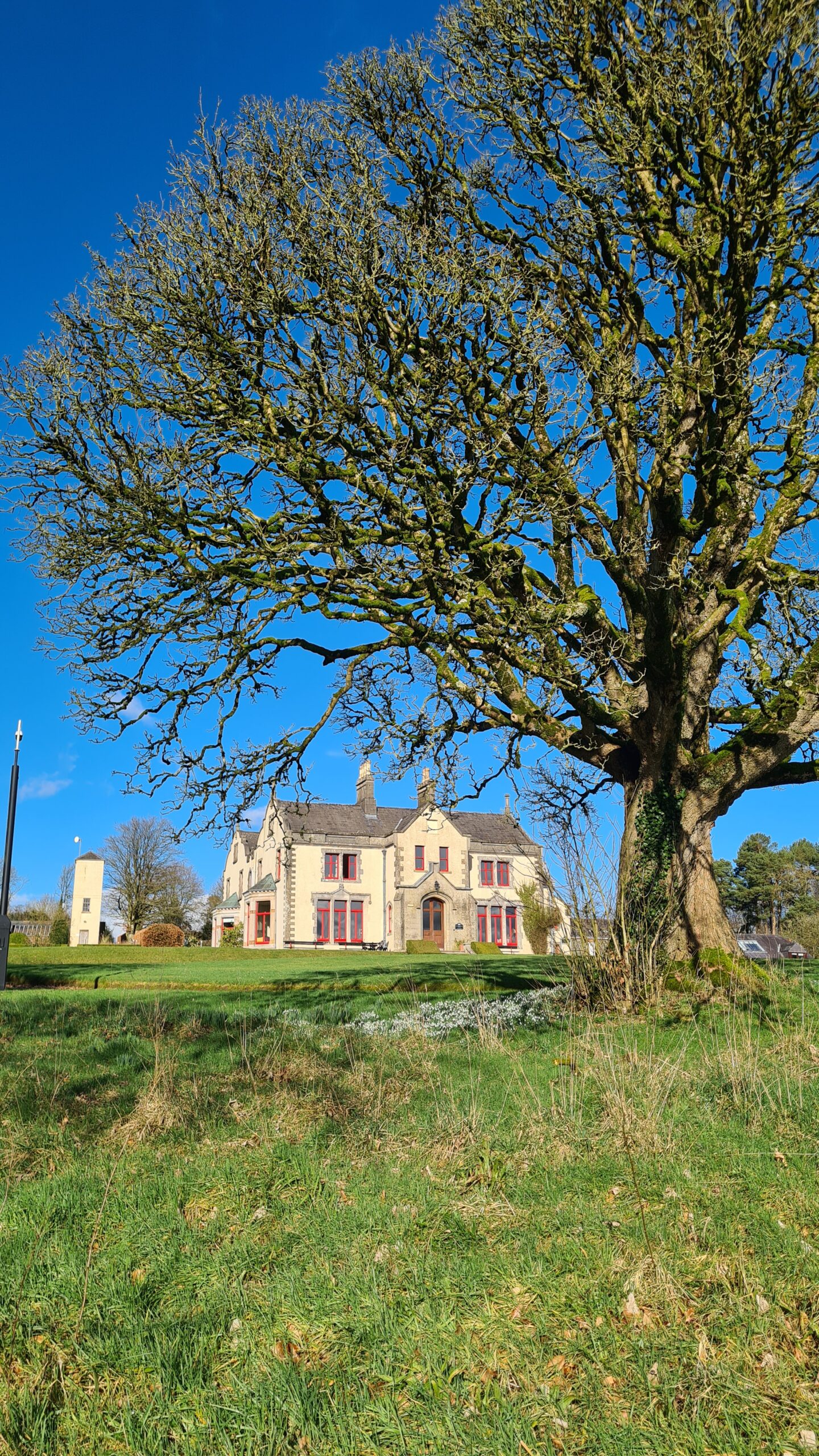 Read more about the article Tyrone Guthrie Centre, Annaghmakerrig